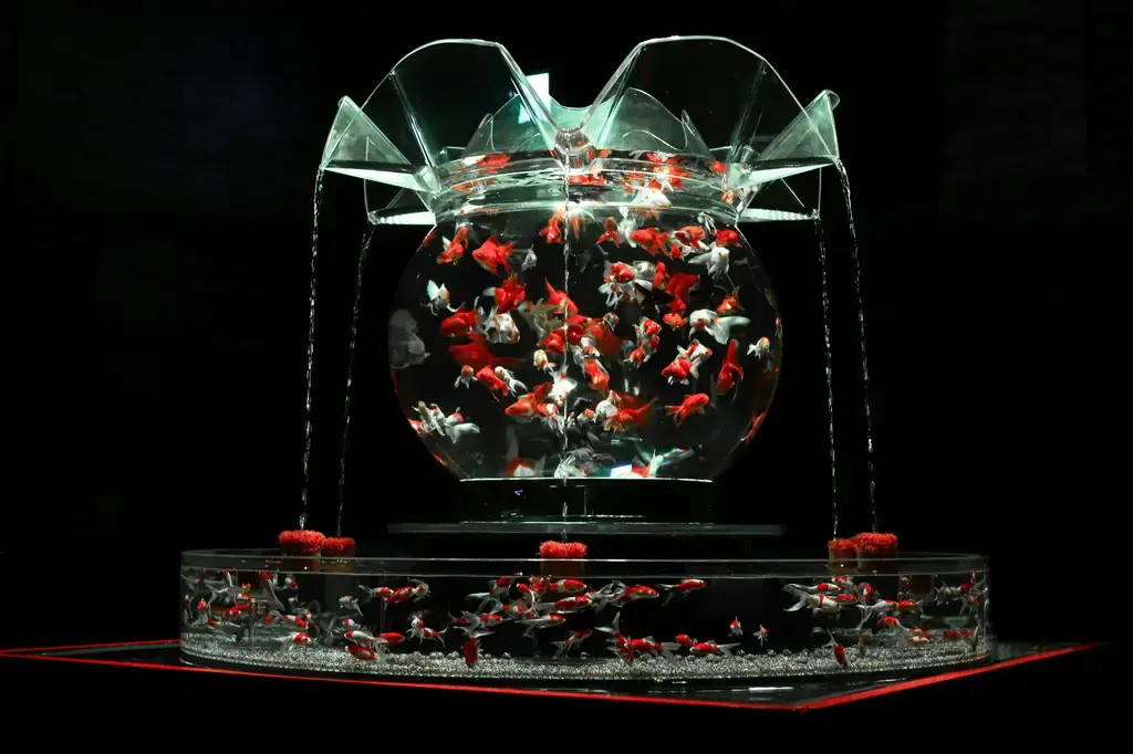 鴨嘴魚飼養聖經：台灣新手入門指南