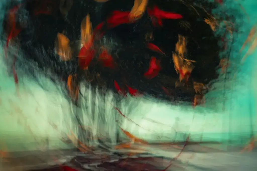 孔雀魚缸水草：打造繽紛水景的綠色魔法